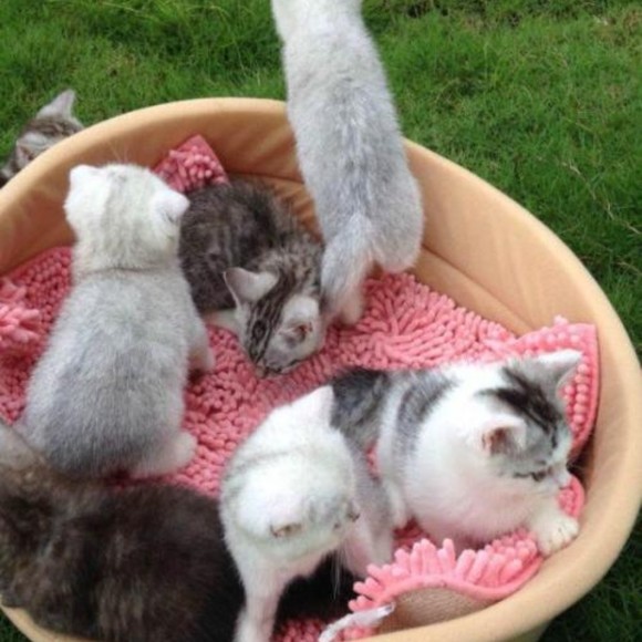 Profile Picture of Nedra Dunn (@nedra_girl) on Poshmark