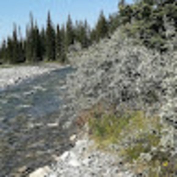 Nicole Sholter - Poshmark Profile Picture of Nicole Sholter (@ns127229) on Poshmark