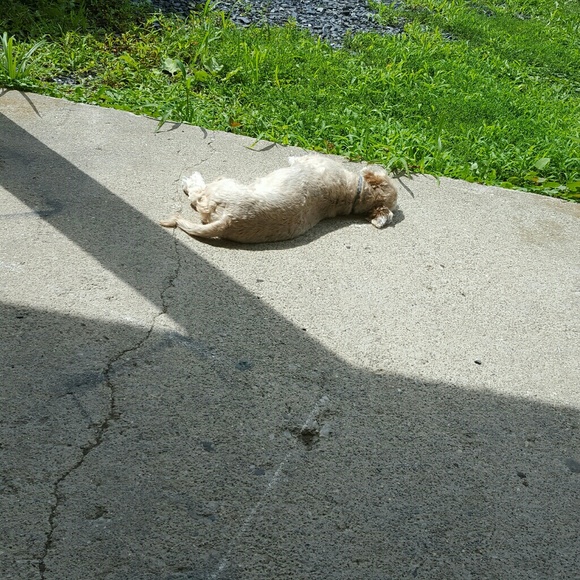 Profile Picture of Paula Hall (@thepaulahall57) on Poshmark