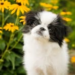 Gregory Melgar - Facebook Profile Picture of Gregory Melgar (@Gregory-Melgar) on Facebook