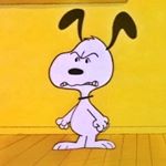 Profile Picture of 신해 (@sinhae_dang) on Instagram