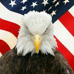 Profile Picture of Darrel Blakely (@darrelblakely) on Instagram