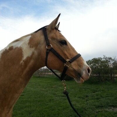 Profile Picture of April Bartholet (@@aprilbartholet) on Twitter