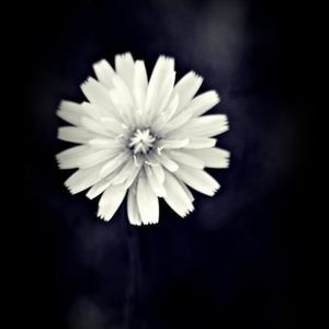 Profile Picture of Huda Ali (@xsmil3_at_m3x) on Myspace