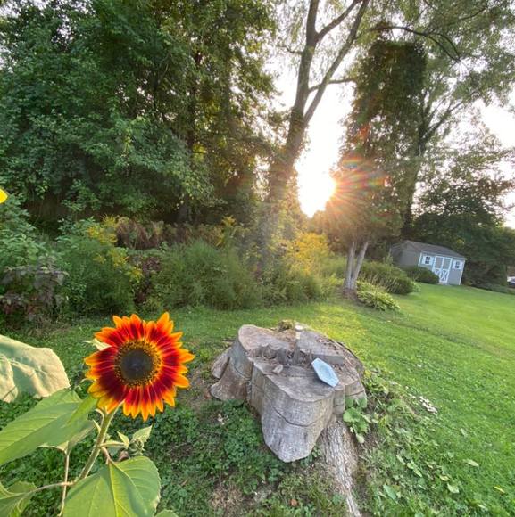 Profile Picture of Patrick Holzschuh (@pjh1617) on Poshmark