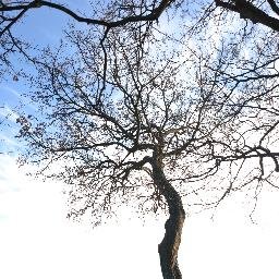 Profile Picture of David Posch (@BSH_Eisenstadt) on Twitter