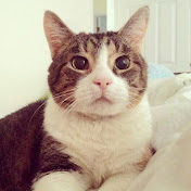 Profile Picture of Lida Nguyen (@miszlidax) on Youtube