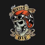 Profile Picture of Old Biker Nicolas (@oldbikernicolas) on Instagram