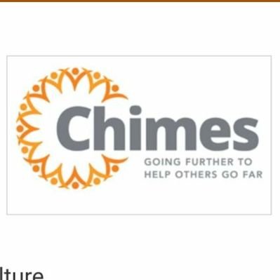 Profile Picture of Chimes International (@ChimesInc) on Twitter