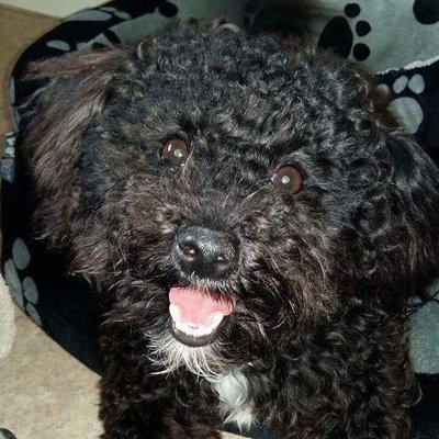 Profile Picture of Amy Weatherall (@just_me_amy95) on Twitter