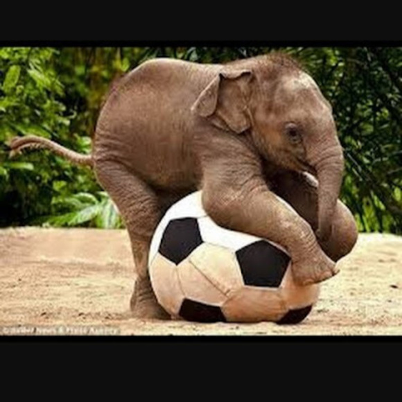 Profile Picture of Kaylee Leszczynski (@boober2024) on Poshmark