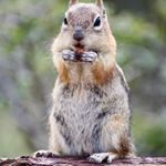 Profile Picture of Michael Schultz (@mjs4488) on Instagram