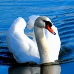 mk2photo Christophe Fuchs - Instagram Profile Picture of mk2photo Christophe Fuchs (@mk2photo_fuchs_christophe) on Instagram