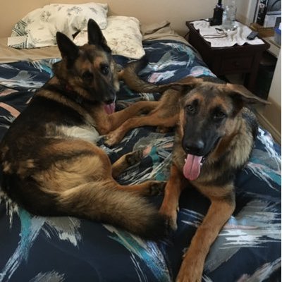 Profile Picture of Clark Robertson (@ClarkRobertson7) on Twitter