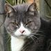 Profile Picture of Cat Father (@Cat-Father) on Facebook