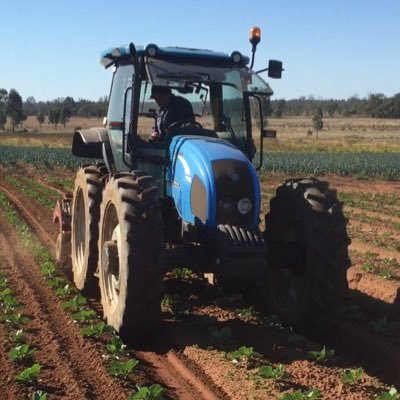 Profile Picture of David Hollins (@Hollins11David) on Twitter