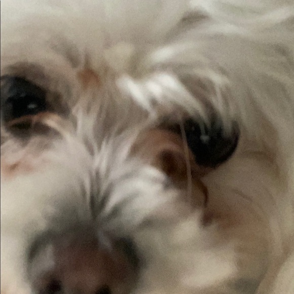 Profile Picture of Daniel Rodgers (@daniel_rodgers) on Poshmark