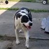 Profile Picture of cjwaldo27 waldron (@user5632933065258) on Tiktok
