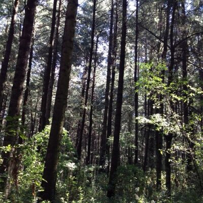 Profile Picture of Jorge De La Borbolla (@borbolla_de) on Twitter