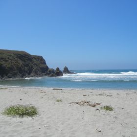 Profile Picture of Heather Whitney (@heather1) on Pinterest