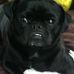 Profile Picture of Bogart Howard (@bogart.howard) on Facebook