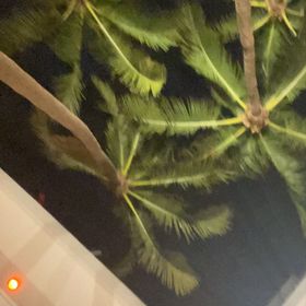 bella alicea - Pinterest Profile Picture of bella alicea (@bellaalicea15) on Pinterest