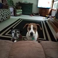 Profile Picture of Bob Butcher (@bob-butcher-10) on Quora