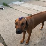 Peter Gleich - Instagram Profile Picture of Peter Gleich (@titusgleich) on Instagram