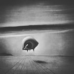 Profile Picture of Brad Neece (@braddavidsonneece) on Instagram