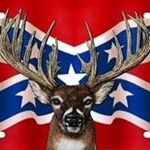 Carl D Nowlin - Instagram Profile Picture of Carl D Nowlin (@carldnowlin) on Instagram