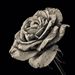 Profile Picture of Chelsey Sharp (@sharpwise) on Pinterest