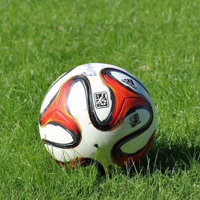 Profile Picture of Stephanie Schaefer (@schaefer_pe) on Twitter