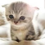 Profile Picture of Beverly Poyfair Linderman (@beverly.poyfairlinderman) on Facebook