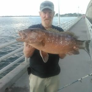 Profile Picture of Peter Olson (@peterolson) on Tiktok