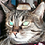 Profile Picture of Ivo Raschke (@klumpedumpe) on Flickr