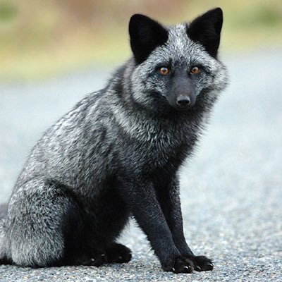 Profile Picture of Luke Rosser (@LukeRosser4) on Twitter