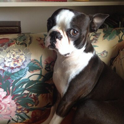 Profile Picture of Jeremiah Hodge (@jeremiah8652) on Twitter