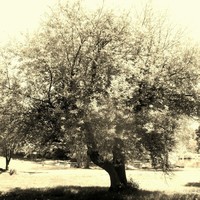 Profile Picture of Carly Conley (@carly-conley) on Quora