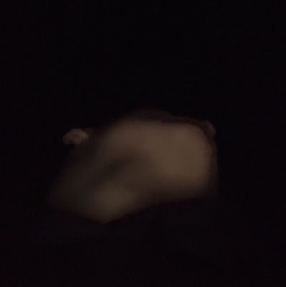 Profile Picture of Gabe Whited (@gabewhited13) on Poshmark