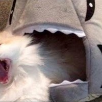 Profile Picture of Bryant Jacob (@bryant-jacob-2) on Quora