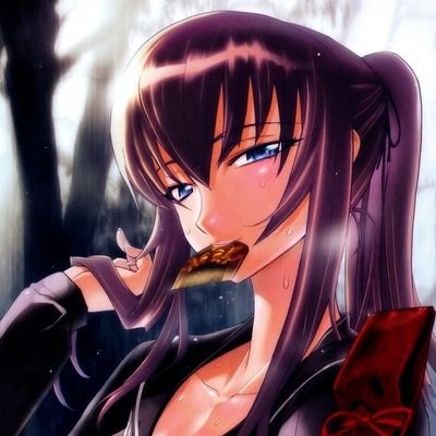 Profile Picture of 🖤Saeko Busujima🖤 (@SamuraiSaeko) on Twitter