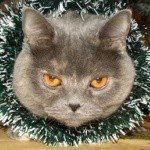 Profile Picture of Eloise (@eloisecastle) on Instagram