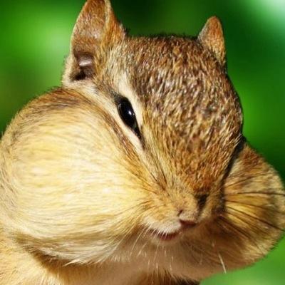 Jacob Yoo - Twitter Profile Picture of Jacob Yoo (@Jake28Yoo) on Twitter