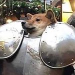 Erik Schwetje - Instagram Profile Picture of Erik Schwetje (@erikschwetje) on Instagram