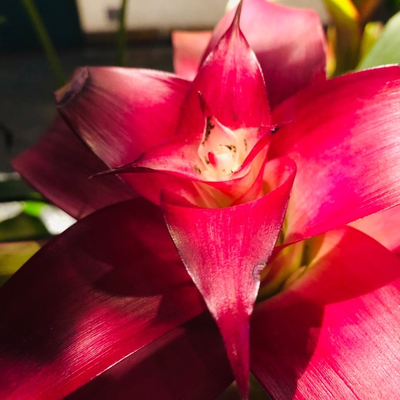 Profile Picture of Addie Rodeheaver (@breadgoddess) on Poshmark