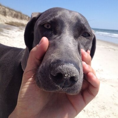 Profile Picture of BRAD Earley (@BRADsEarley) on Twitter