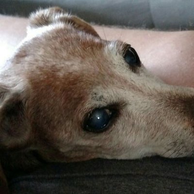 Profile Picture of Jason Wisniewski (@Largecar_outlaw) on Twitter