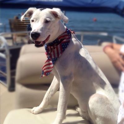 Profile Picture of Kathleen Bradford (@@bradfordk27) on Twitter
