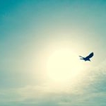 Profile Picture of Shahida (@malik_shahida) on Instagram