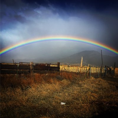 Profile Picture of stevie grimes (@steviesgrimes) on Twitter